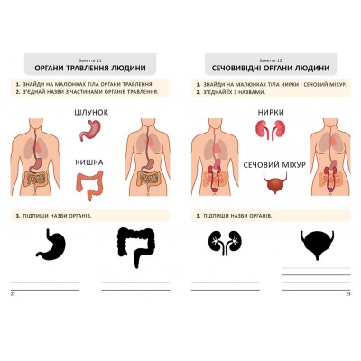 Я дорослішаю. Статеве виховання. Робочий зошит. Крок 2 Я дорослішаю. Статеве виховання. Робочий зошит. Крок 2
