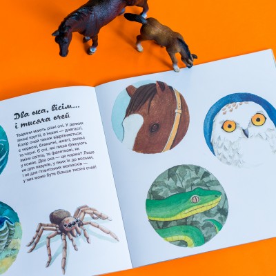 Узнавай о мире вместе с нами! Какие органы чувств у животных? Узнавай о мире вместе с нами! Какие органы чувств у животных?