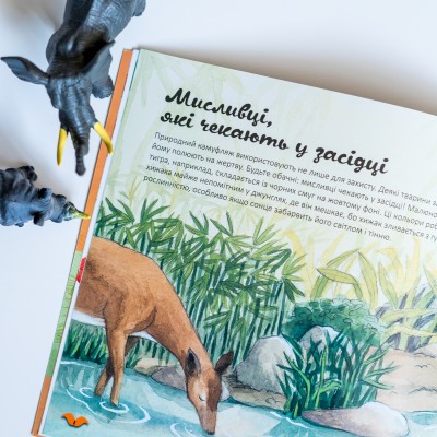 Узнавай о мире вместе с нами! Цвета в мире животных Узнавай о мире вместе с нами! Цвета в мире животных