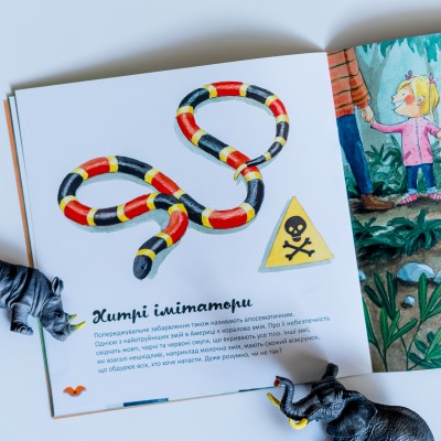 Узнавай о мире вместе с нами! Цвета в мире животных Узнавай о мире вместе с нами! Цвета в мире животных