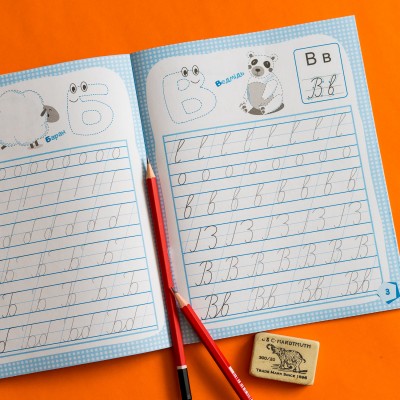 Готовимся к школе. Пишем буквы Готовимся к школе. Пишем буквы