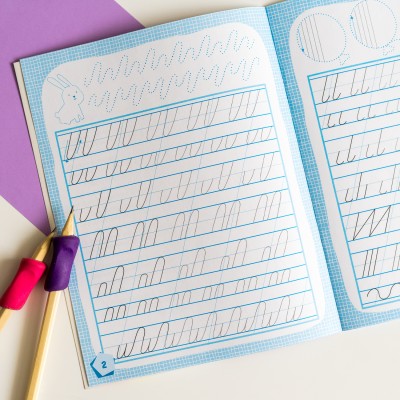 Готовимся к школе. Готовим руку к письму Готовимся к школе. Готовим руку к письму