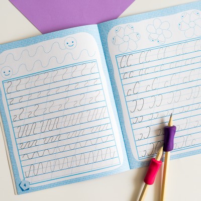 Готовимся к школе. Готовим руку к письму Готовимся к школе. Готовим руку к письму