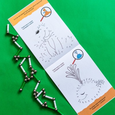 ДжоIQ. Раскрась по точкам ДжоIQ. Раскрась по точкам