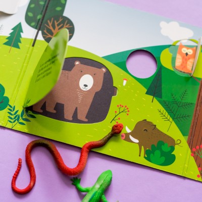 Книжка с окошками. Кто спрятался в лесу Книжка с окошками. Кто спрятался в лесу