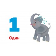 Багаторазові прописи. Цифри та числа