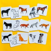 Від простого до складного. Тварини