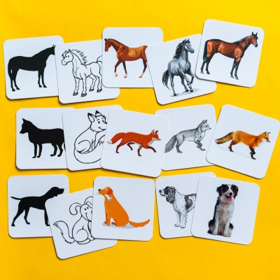 От простого к сложному. Животные От простого к сложному. Животные